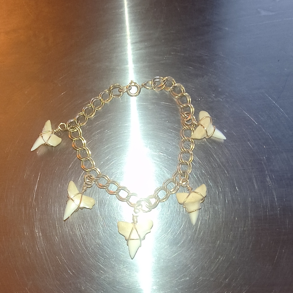 Fossilized Shark Tooth Charm Bracelet - Picture 2 of 4